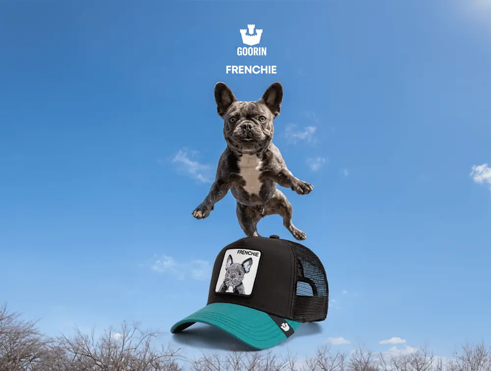 Jockey Goorin Bros Frenchie Unisex Negro - Image 2